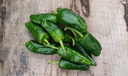 Pimento de Pardon