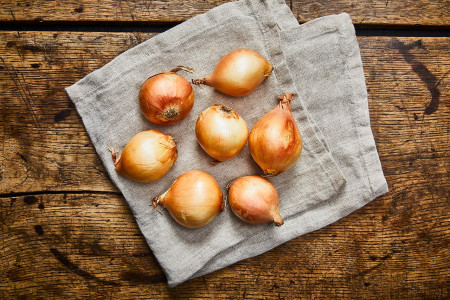 Zwiebelschatz