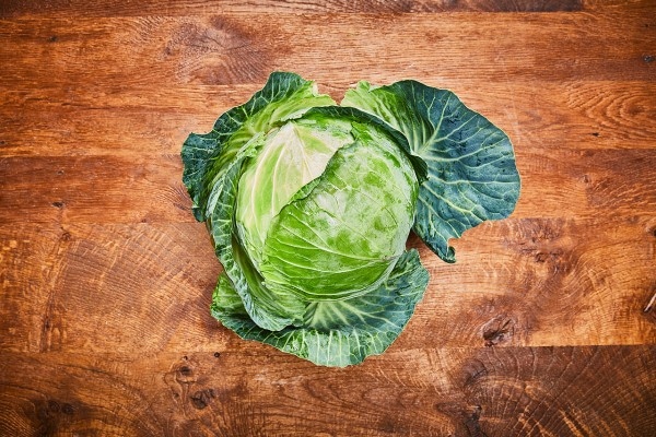 Weißkohl "neue Ernte"