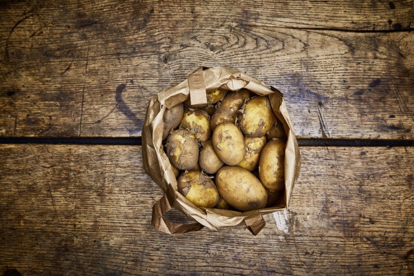 Conny Kartoffeln (vorwiegend festkochend)