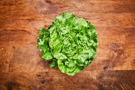 Kopfsalat