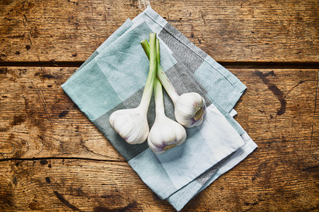 Frischer Knoblauch