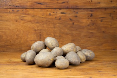 Bio Kartoffeln Agria vorwiegend festkochend bis mehlig
