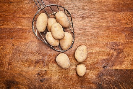 Kartoffeln Leyla-vorwiegend Festkochend