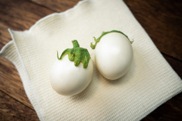 Auberginen Blanche ronde á oeuf (Eierfrucht)