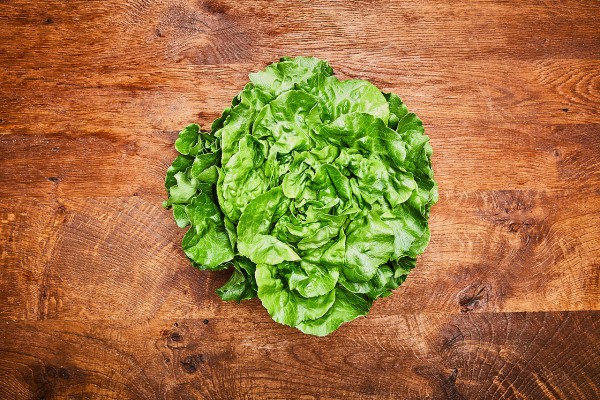 Kopfsalat