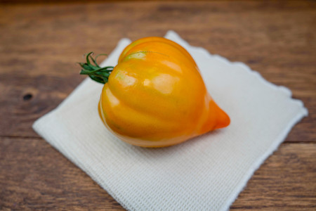 Tomate